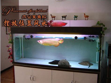 空魚缸風水|空魚缸放在家裡怎麼化解